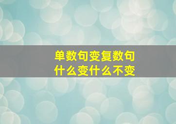 单数句变复数句什么变什么不变