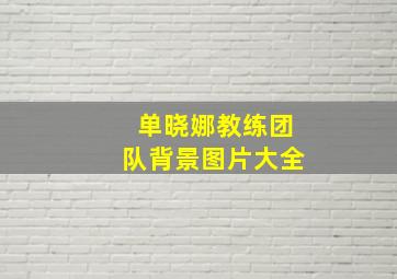 单晓娜教练团队背景图片大全