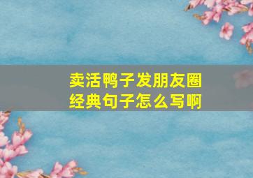 卖活鸭子发朋友圈经典句子怎么写啊