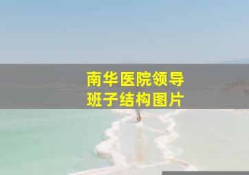 南华医院领导班子结构图片