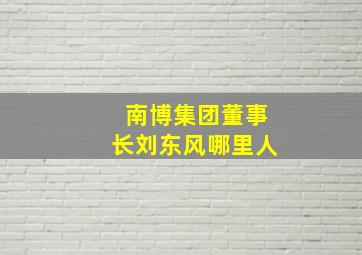 南博集团董事长刘东风哪里人