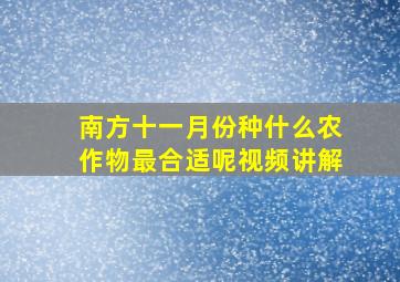 南方十一月份种什么农作物最合适呢视频讲解