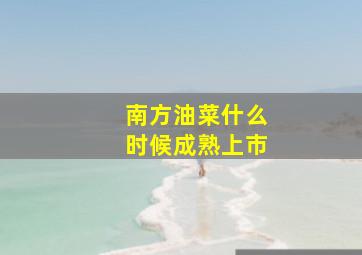 南方油菜什么时候成熟上市