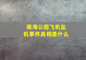 南海公园飞机坠机事件真相是什么