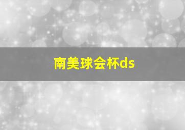 南美球会杯ds