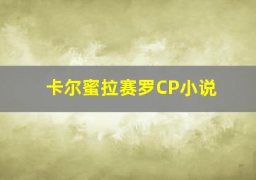 卡尔蜜拉赛罗CP小说