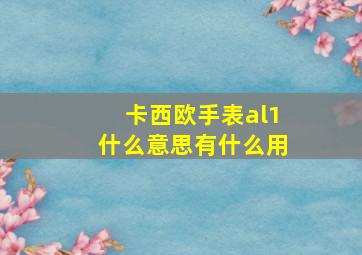 卡西欧手表al1什么意思有什么用