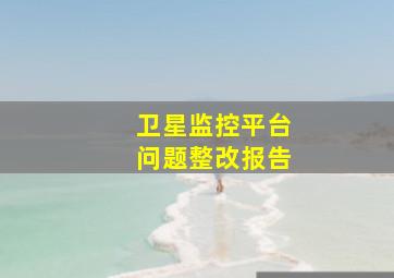 卫星监控平台问题整改报告