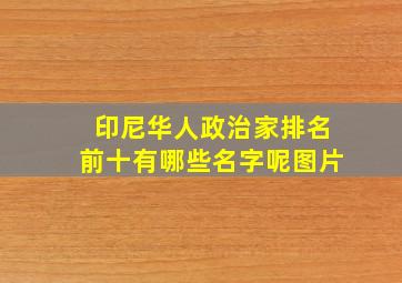 印尼华人政治家排名前十有哪些名字呢图片