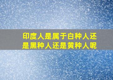 印度人是属于白种人还是黑种人还是黄种人呢