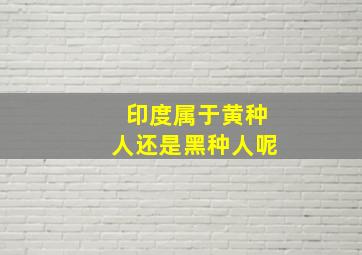 印度属于黄种人还是黑种人呢