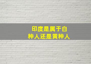 印度是属于白种人还是黄种人