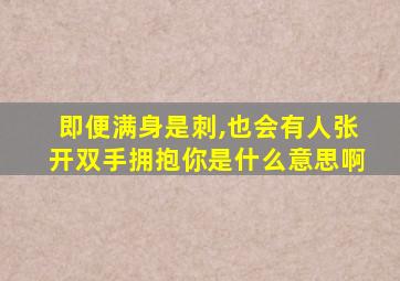 即便满身是刺,也会有人张开双手拥抱你是什么意思啊