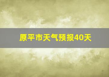 原平市天气预报40天