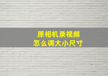 原相机录视频怎么调大小尺寸