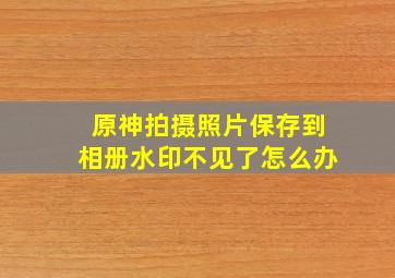 原神拍摄照片保存到相册水印不见了怎么办