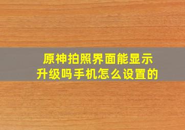 原神拍照界面能显示升级吗手机怎么设置的