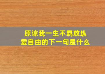 原谅我一生不羁放纵爱自由的下一句是什么