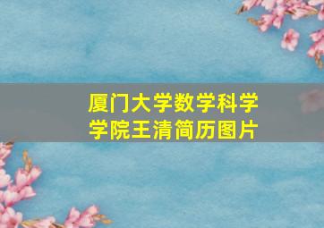 厦门大学数学科学学院王清简历图片