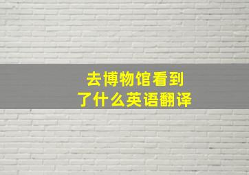 去博物馆看到了什么英语翻译