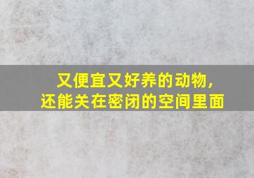 又便宜又好养的动物,还能关在密闭的空间里面