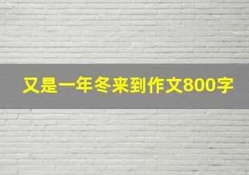 又是一年冬来到作文800字