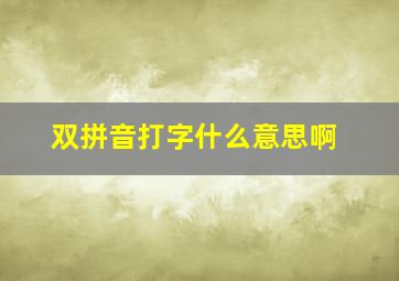 双拼音打字什么意思啊