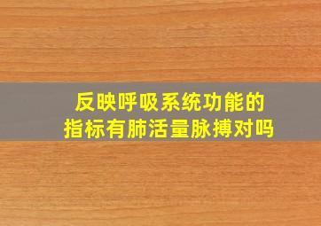 反映呼吸系统功能的指标有肺活量脉搏对吗