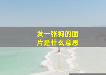 发一张狗的图片是什么意思