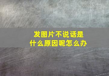 发图片不说话是什么原因呢怎么办