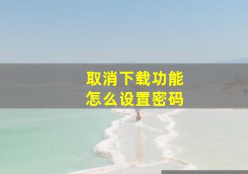 取消下载功能怎么设置密码