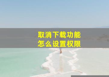 取消下载功能怎么设置权限