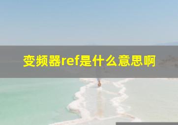 变频器ref是什么意思啊