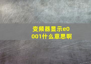 变频器显示e0001什么意思啊