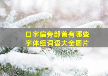 口字偏旁部首有哪些字体组词语大全图片