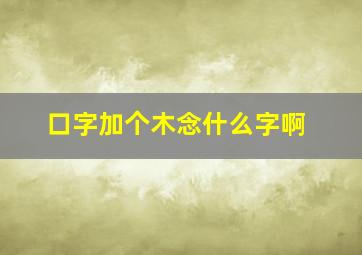 口字加个木念什么字啊