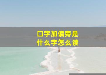 口字加偏旁是什么字怎么读