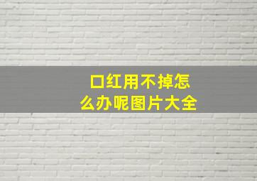 口红用不掉怎么办呢图片大全