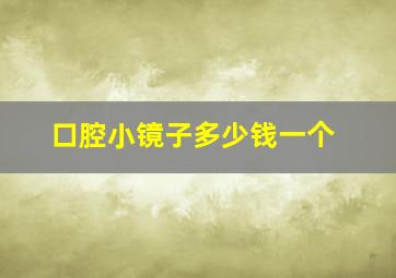 口腔小镜子多少钱一个