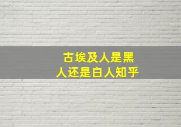 古埃及人是黑人还是白人知乎