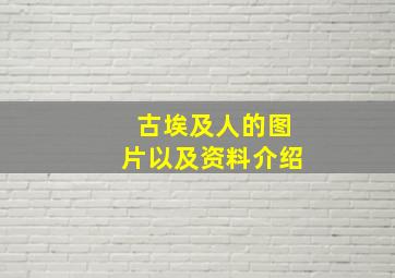 古埃及人的图片以及资料介绍