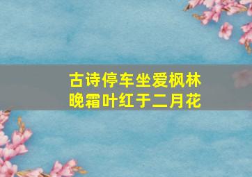 古诗停车坐爱枫林晚霜叶红于二月花