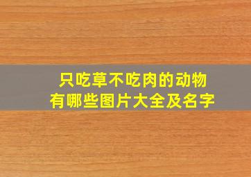 只吃草不吃肉的动物有哪些图片大全及名字