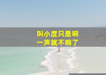 叫小度只是响一声就不响了