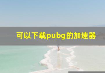 可以下载pubg的加速器