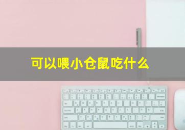 可以喂小仓鼠吃什么