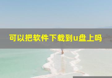 可以把软件下载到u盘上吗