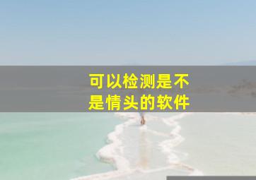 可以检测是不是情头的软件