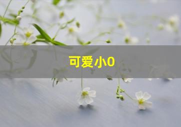 可爱小0