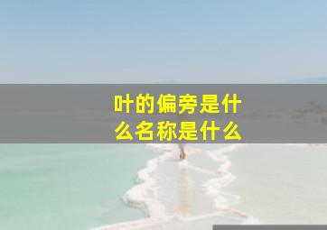 叶的偏旁是什么名称是什么